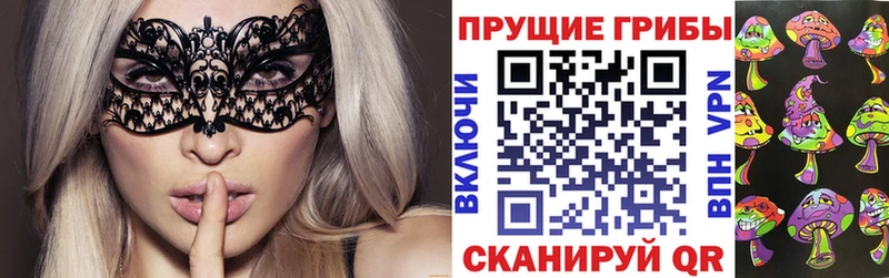 Псилоцибиновые грибы MAGIC MUSHROOMS что такое Елец